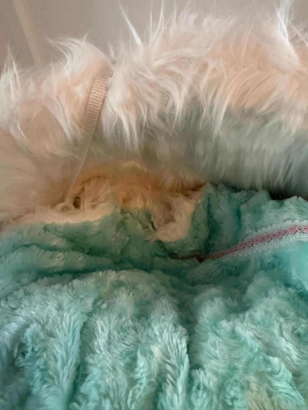Mint Green Faux Fur Pet Carrier Bag & Matching Blanket